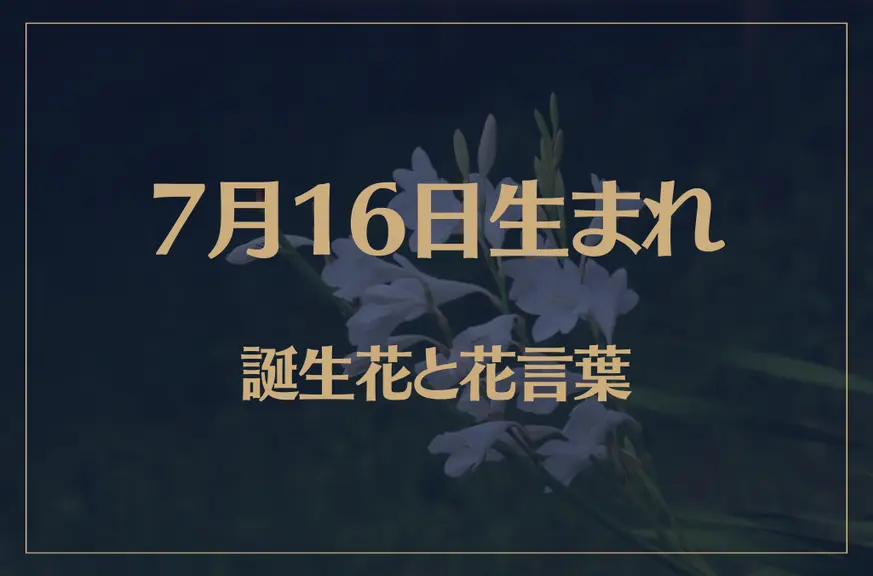 7月16日の誕生花と花言葉がコレ！性格や恋愛・仕事などの誕生日占いもご紹介！