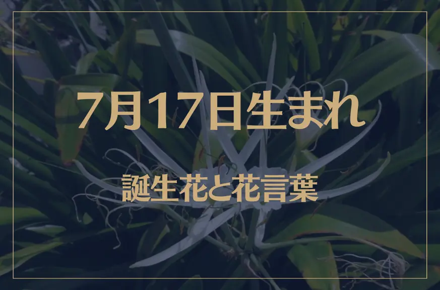 7月17日の誕生花と花言葉がコレ！性格や恋愛・仕事などの誕生日占いもご紹介！