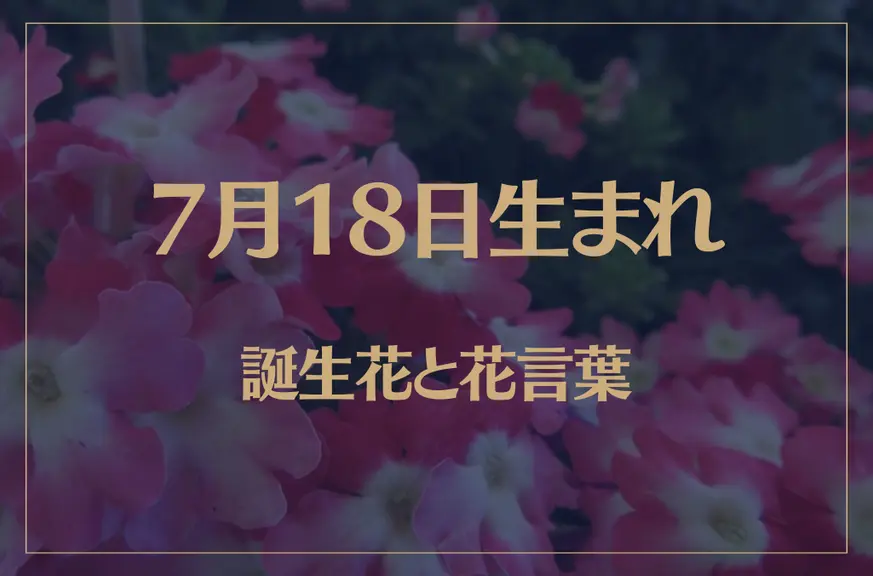 7月18日の誕生花と花言葉がコレ！性格や恋愛・仕事などの誕生日占いもご紹介！