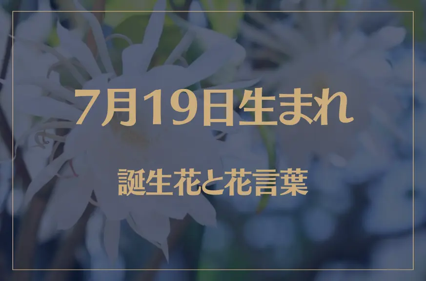 7月19日の誕生花と花言葉がコレ！性格や恋愛・仕事などの誕生日占いもご紹介！