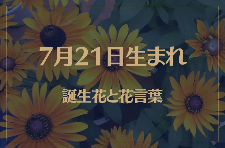 7月21日の誕生花と花言葉がコレ！性格や恋愛・仕事などの誕生日占いもご紹介！