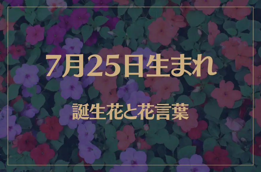 7月25日の誕生花と花言葉がコレ！性格や恋愛・仕事などの誕生日占いもご紹介！