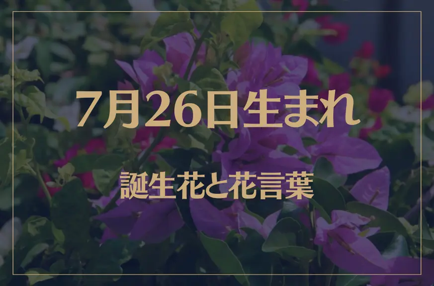 7月26日の誕生花と花言葉がコレ！性格や恋愛・仕事などの誕生日占いもご紹介！