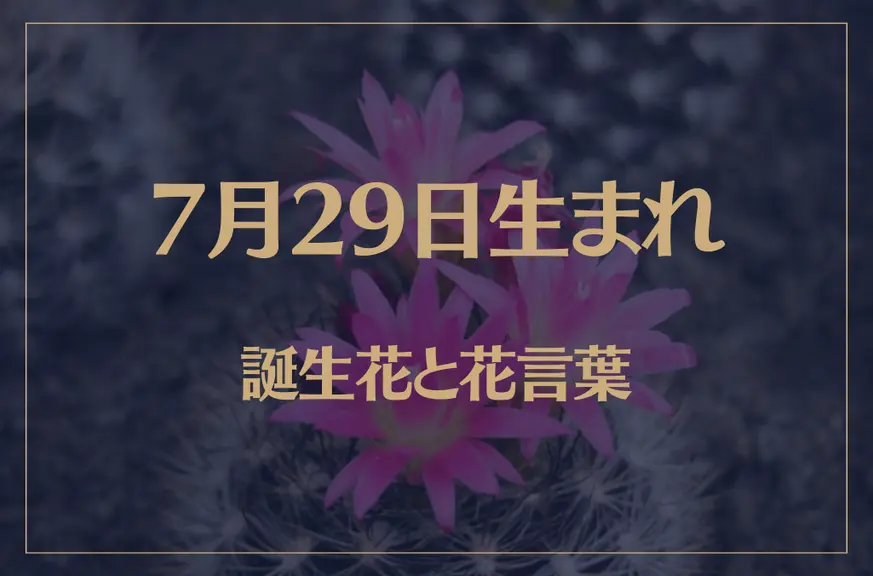 7月29日の誕生花と花言葉がコレ！性格や恋愛・仕事などの誕生日占いもご紹介！