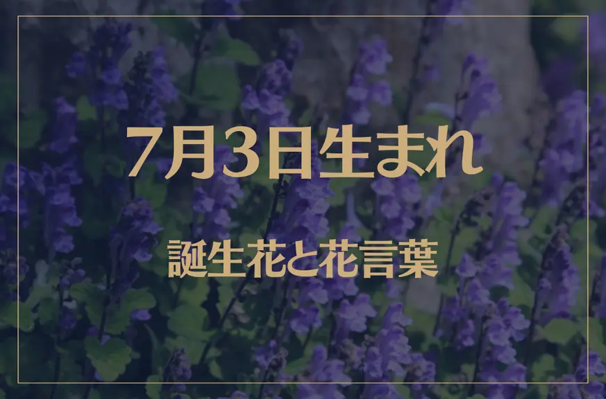 7月3日の誕生花と花言葉がコレ！性格や恋愛・仕事などの誕生日占いもご紹介！