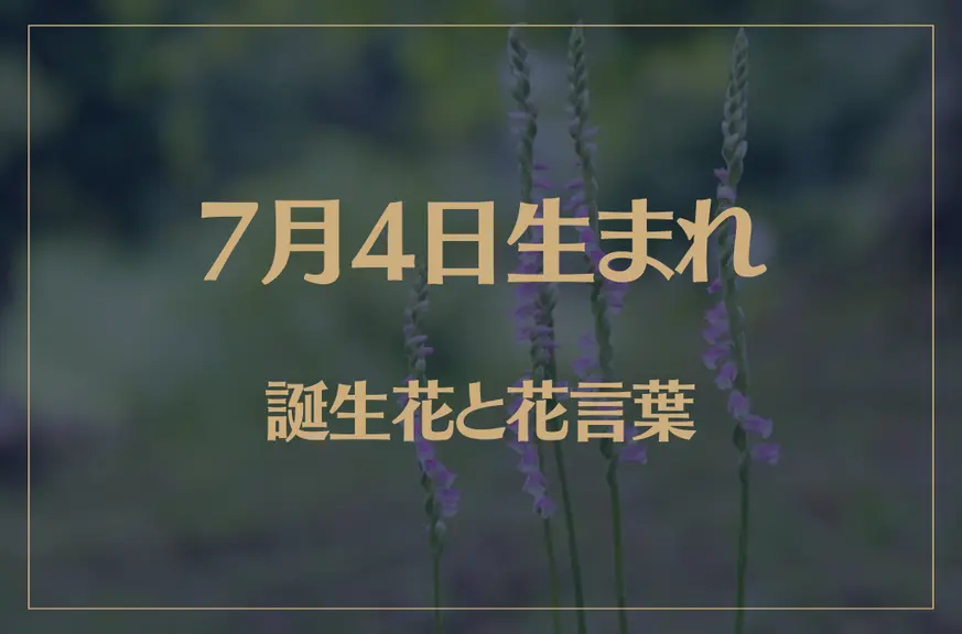 7月4日の誕生花と花言葉がコレ！性格や恋愛・仕事などの誕生日占いもご紹介！