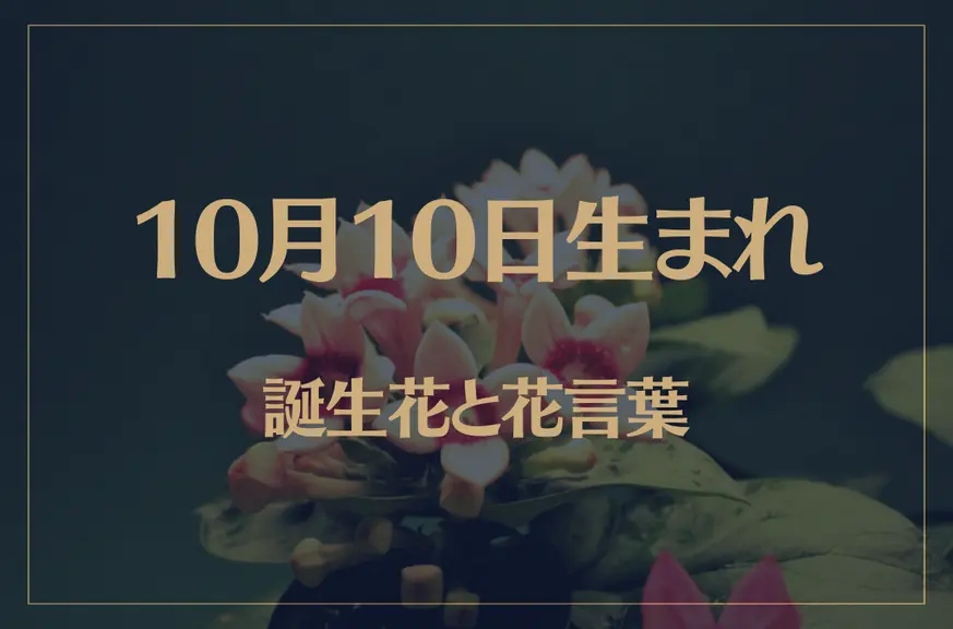 10月10日の誕生花と花言葉がコレ！性格や恋愛・仕事などの誕生日占いもご紹介！