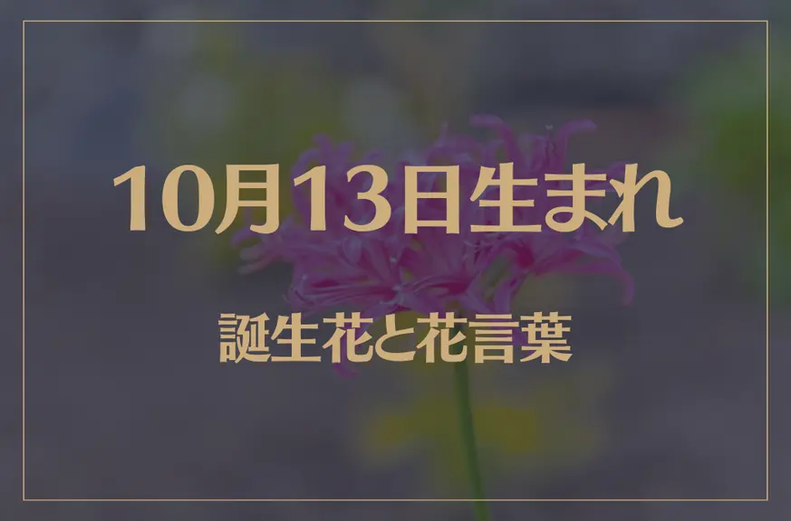 10月13日の誕生花と花言葉がコレ！性格や恋愛・仕事などの誕生日占いもご紹介！