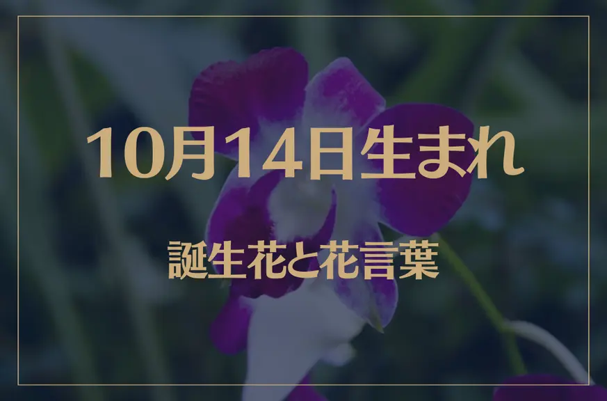 10月14日の誕生花と花言葉がコレ！性格や恋愛・仕事などの誕生日占いもご紹介！