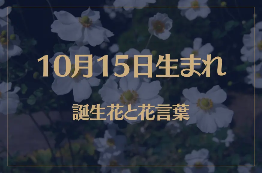 10月15日の誕生花と花言葉がコレ！性格や恋愛・仕事などの誕生日占いもご紹介！