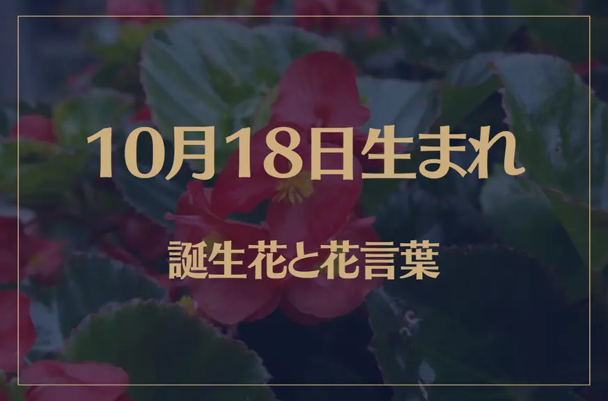 10月18日の誕生花と花言葉がコレ！性格や恋愛・仕事などの誕生日占いもご紹介！