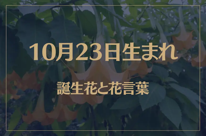 10月23日の誕生花と花言葉がコレ！性格や恋愛・仕事などの誕生日占いもご紹介！