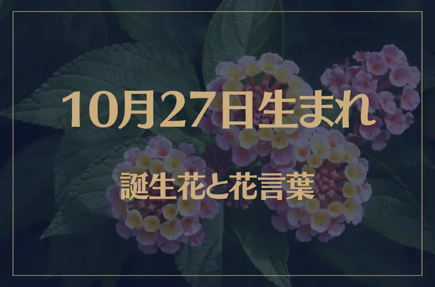 10月27日の誕生花と花言葉がコレ！性格や恋愛・仕事などの誕生日占いもご紹介！