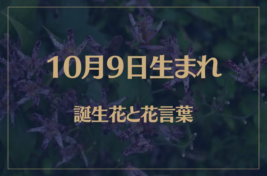 10月9日の誕生花と花言葉がコレ！性格や恋愛・仕事などの誕生日占いもご紹介！