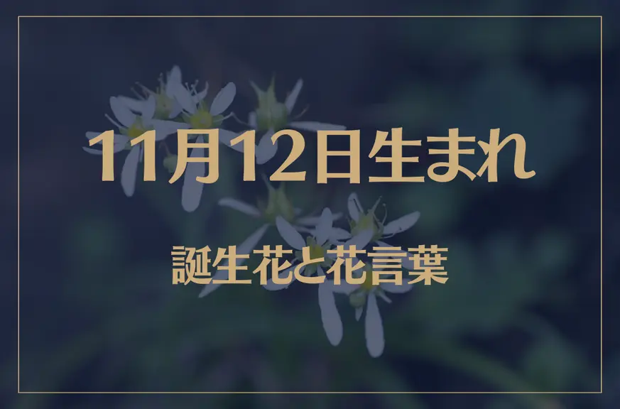 11月12日の誕生花と花言葉がコレ！性格や恋愛・仕事などの誕生日占いもご紹介！