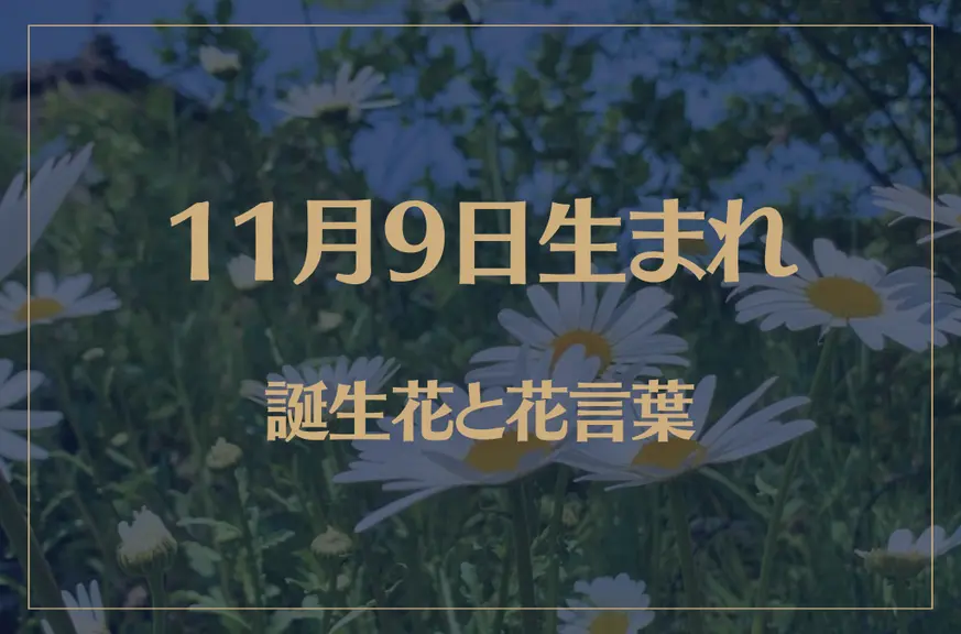 11月9日の誕生花と花言葉がコレ！性格や恋愛・仕事などの誕生日占いもご紹介！