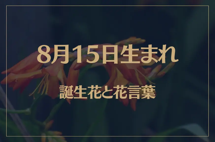 8月15日の誕生花と花言葉がコレ！性格や恋愛・仕事などの誕生日占いもご紹介！