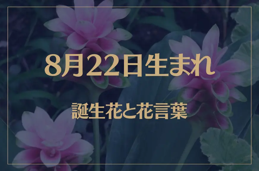 8月22日の誕生花と花言葉がコレ！性格や恋愛・仕事などの誕生日占いもご紹介！