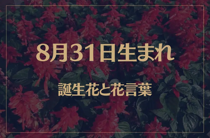 8月31日の誕生花と花言葉がコレ！性格や恋愛・仕事などの誕生日占いもご紹介！