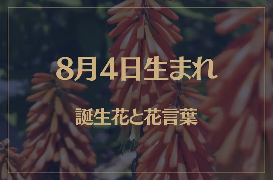 8月4日の誕生花と花言葉がコレ！性格や恋愛・仕事などの誕生日占いもご紹介！