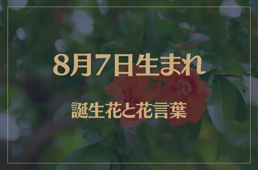 8月7日の誕生花と花言葉がコレ！性格や恋愛・仕事などの誕生日占いもご紹介！