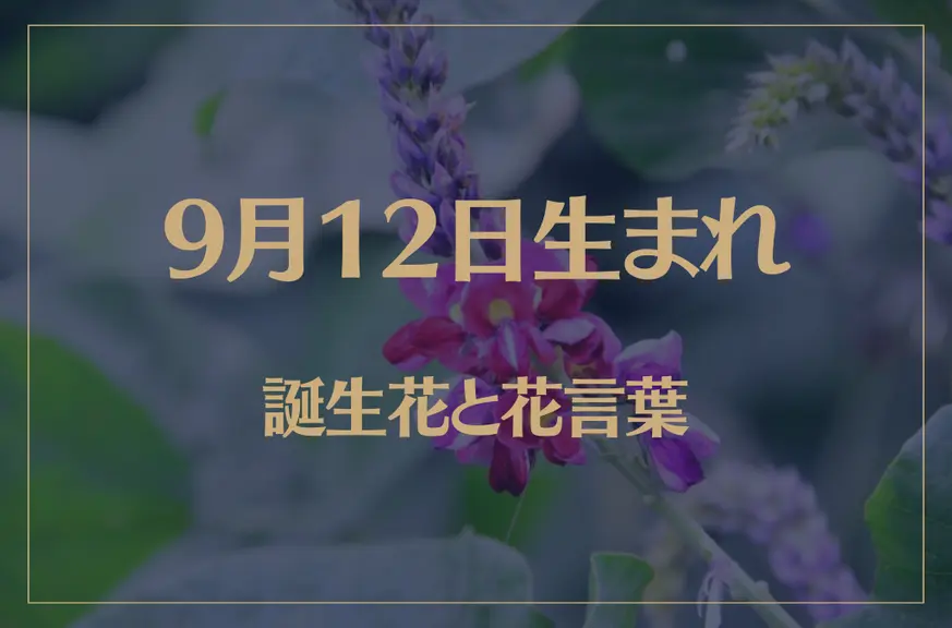 9月12日の誕生花と花言葉がコレ！性格や恋愛・仕事などの誕生日占いもご紹介！