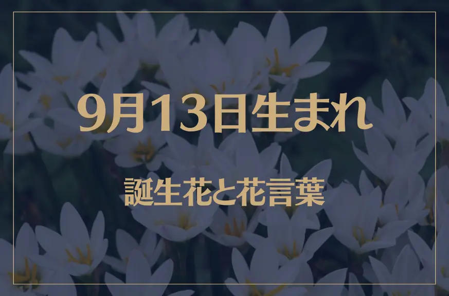 9月13日の誕生花と花言葉がコレ！性格や恋愛・仕事などの誕生日占いもご紹介！