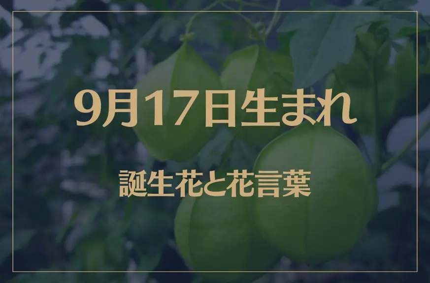 9月17日の誕生花と花言葉がコレ！性格や恋愛・仕事などの誕生日占いもご紹介！