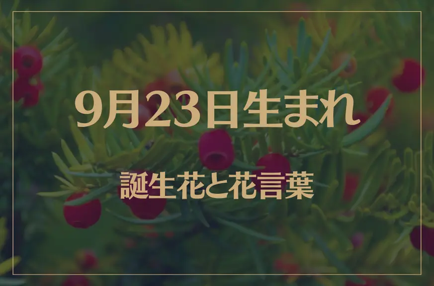 9月23日の誕生花と花言葉がコレ！性格や恋愛・仕事などの誕生日占いもご紹介！