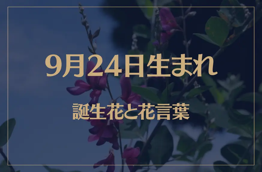 9月24日の誕生花と花言葉がコレ！性格や恋愛・仕事などの誕生日占いもご紹介！