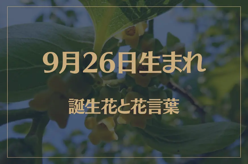 9月26日の誕生花と花言葉がコレ！性格や恋愛・仕事などの誕生日占いもご紹介！