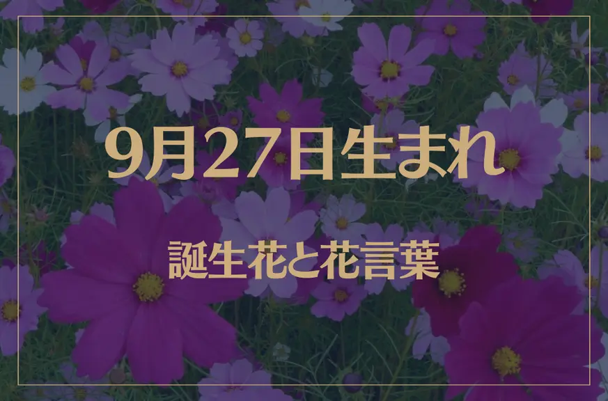 9月27日の誕生花と花言葉がコレ！性格や恋愛・仕事などの誕生日占いもご紹介！