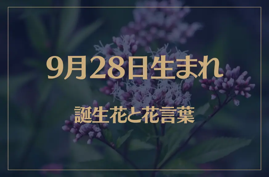 9月28日の誕生花と花言葉がコレ！性格や恋愛・仕事などの誕生日占いもご紹介！