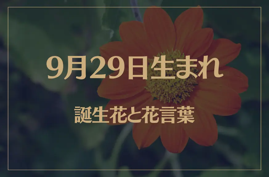 9月29日の誕生花と花言葉がコレ！性格や恋愛・仕事などの誕生日占いもご紹介！