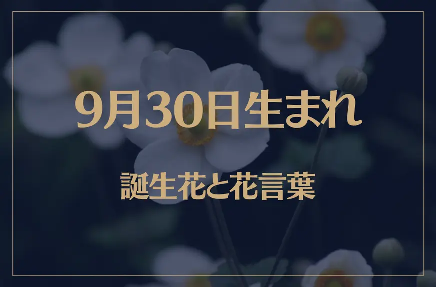 9月30日の誕生花と花言葉がコレ！性格や恋愛・仕事などの誕生日占いもご紹介！