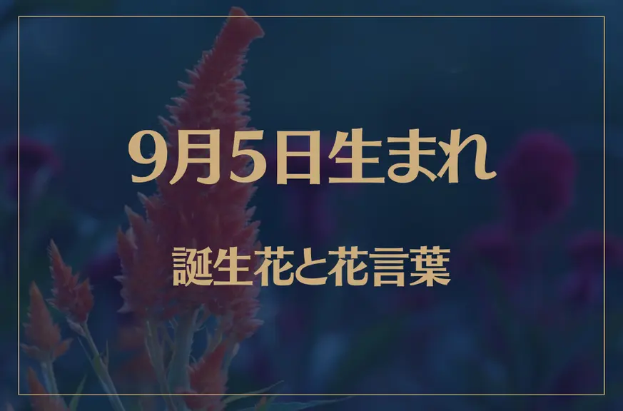 9月5日の誕生花と花言葉がコレ！性格や恋愛・仕事などの誕生日占いもご紹介！