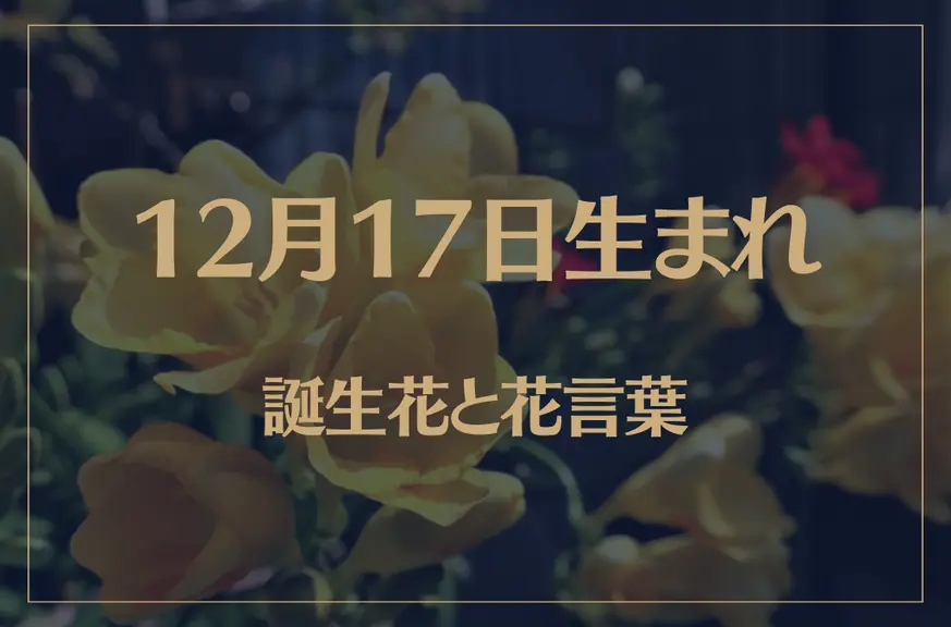 12月17日の誕生花と花言葉がコレ！性格や恋愛・仕事などの誕生日占いもご紹介！