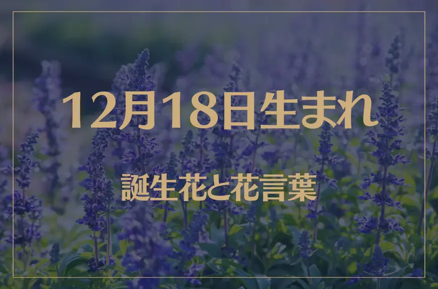 12月18日の誕生花と花言葉がコレ！性格や恋愛・仕事などの誕生日占いもご紹介！