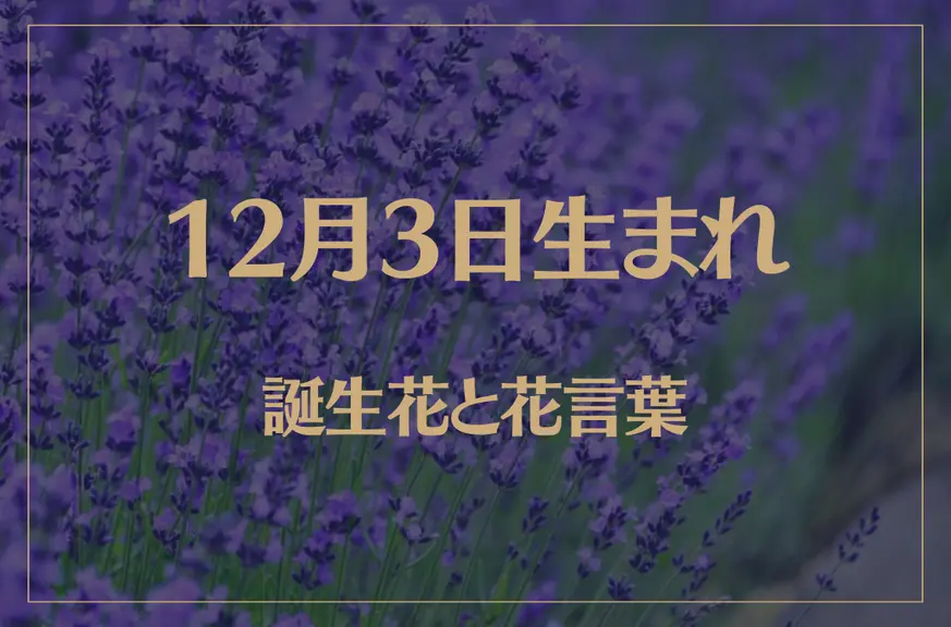 12月3日の誕生花と花言葉がコレ！性格や恋愛・仕事などの誕生日占いもご紹介！