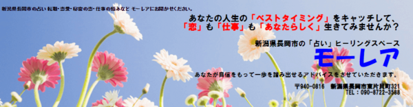 モーレアは当たる？当たらない？参考になる口コミをご紹介！