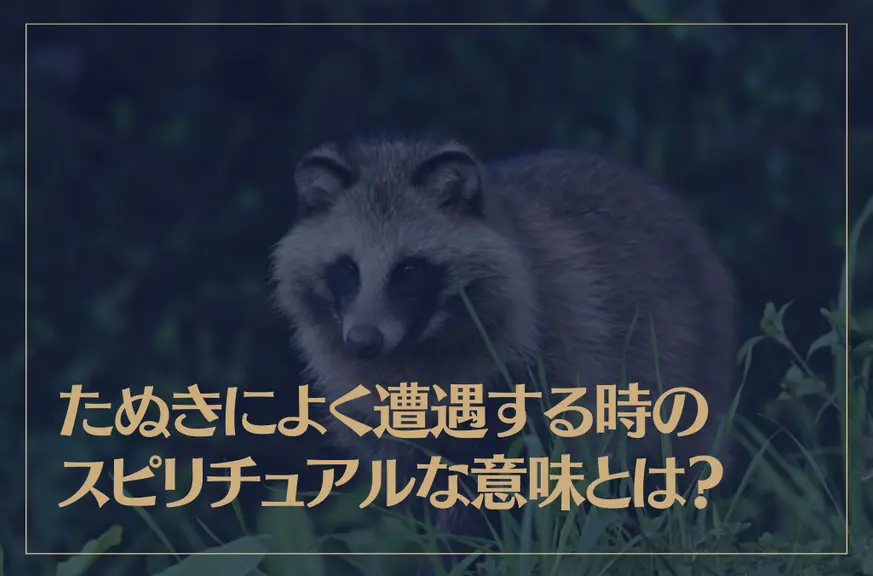 たぬきによく遭遇する時のスピリチュアルな意味とは？たぬきを轢いた時や死骸を見た時なども解説！