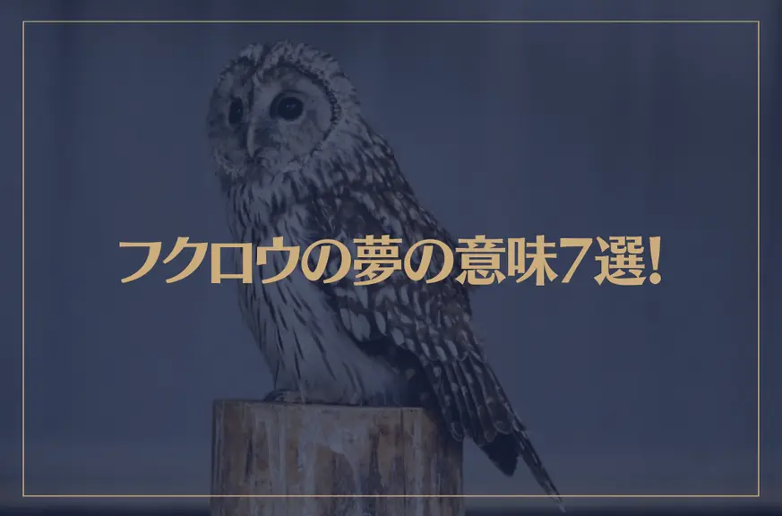 【夢占い】フクロウの夢の意味7選！シチュエーション別にご紹介！