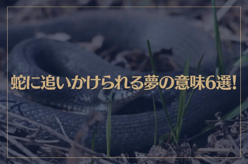 【夢占い】蛇に追いかけられる夢の意味6選！シチュエーション別にご紹介！