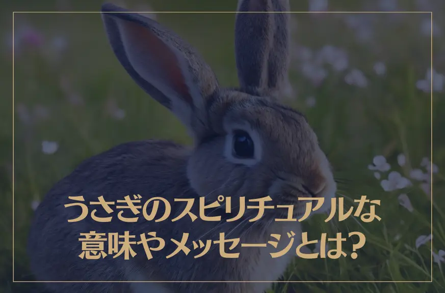 うさぎのスピリチュアルな意味やメッセージとは？