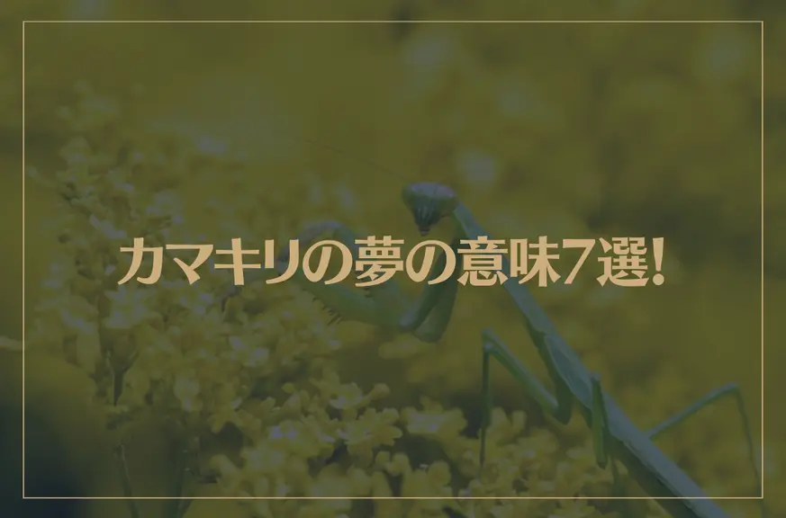 【夢占い】カマキリの夢の意味7選！シチュエーション別にご紹介！