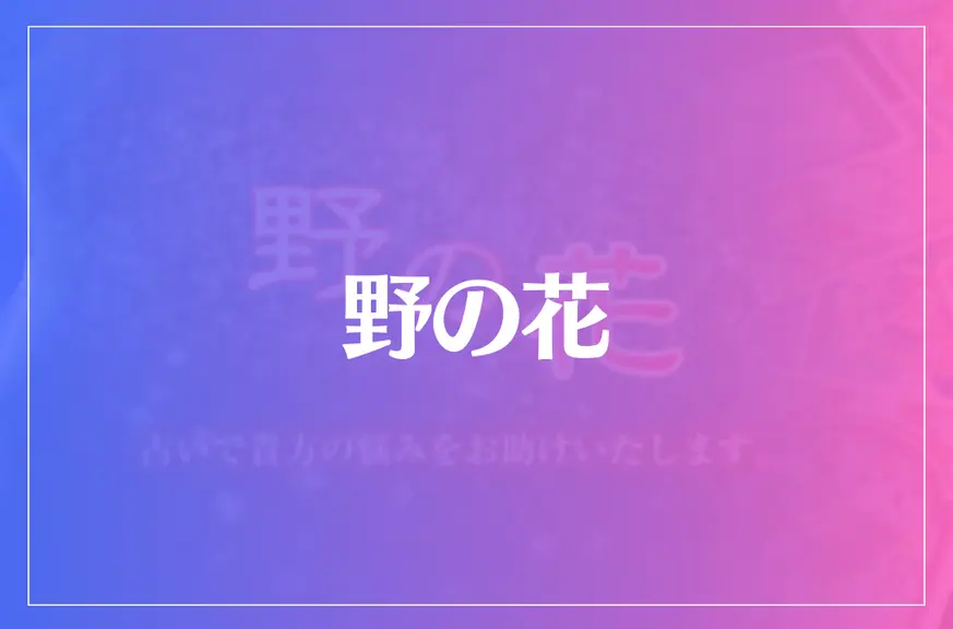 野の花は当たる？当たらない？参考になる口コミをご紹介！