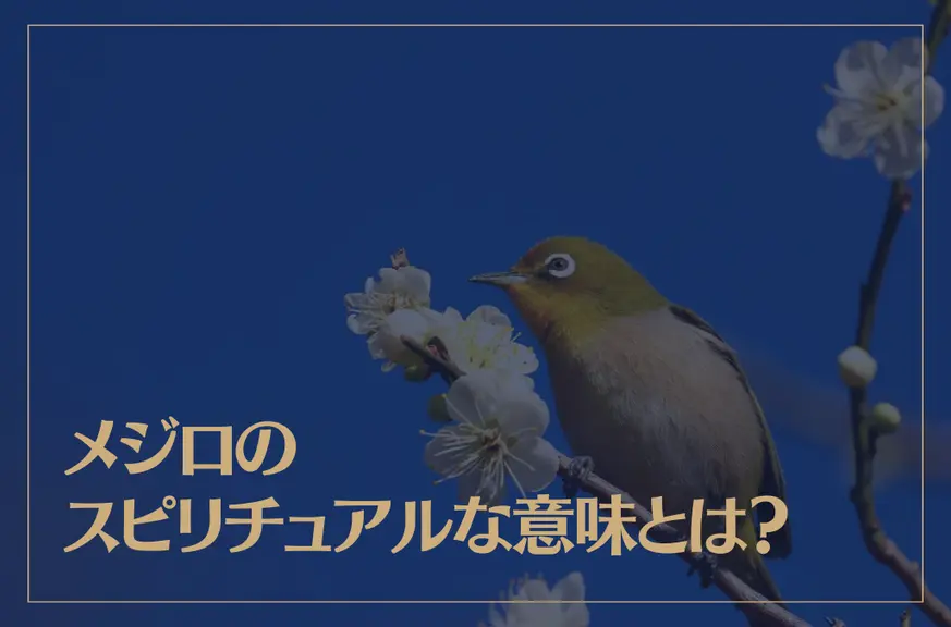 メジロのスピリチュアルな意味とは？