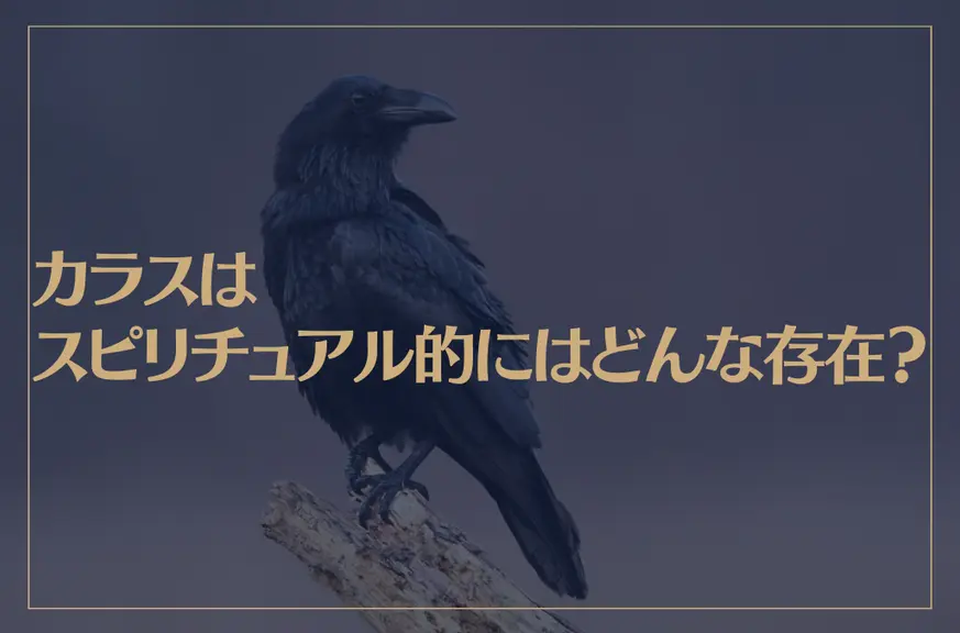 カラスはスピリチュアル的にはどんな存在？夜に鳴くのは何かのメッセージ？