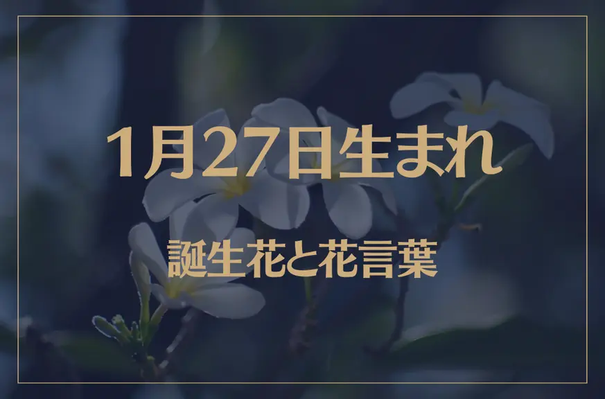 1月27日の誕生花と花言葉がコレ！性格や恋愛・仕事などの誕生日占いもご紹介！