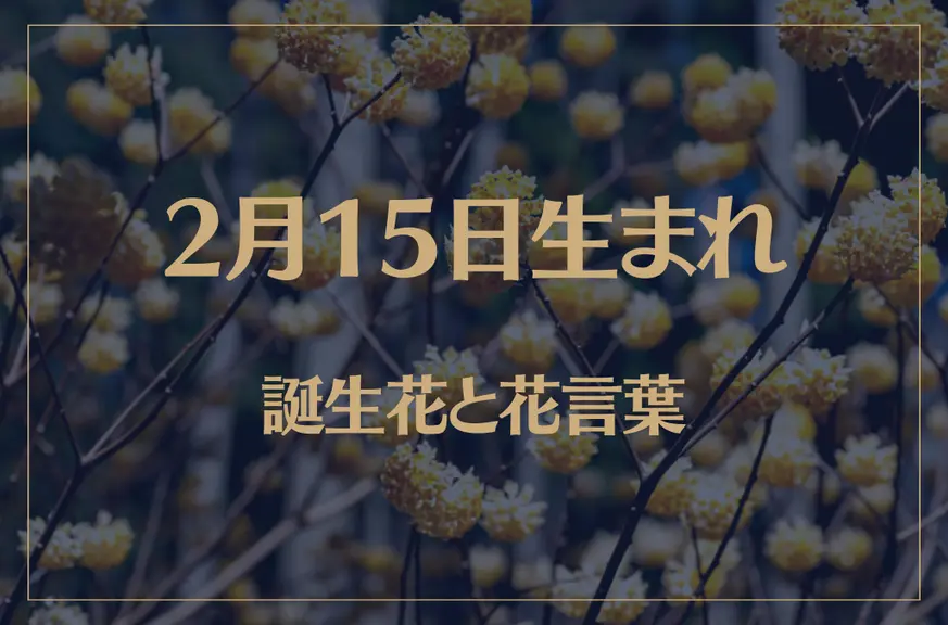 2月15日の誕生花と花言葉がコレ！性格や恋愛・仕事などの誕生日占いもご紹介！